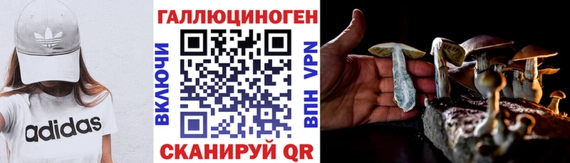 Псилоцибиновые грибы GOLDEN TEACHER  kraken ONION  Бежецк  цены наркотик 